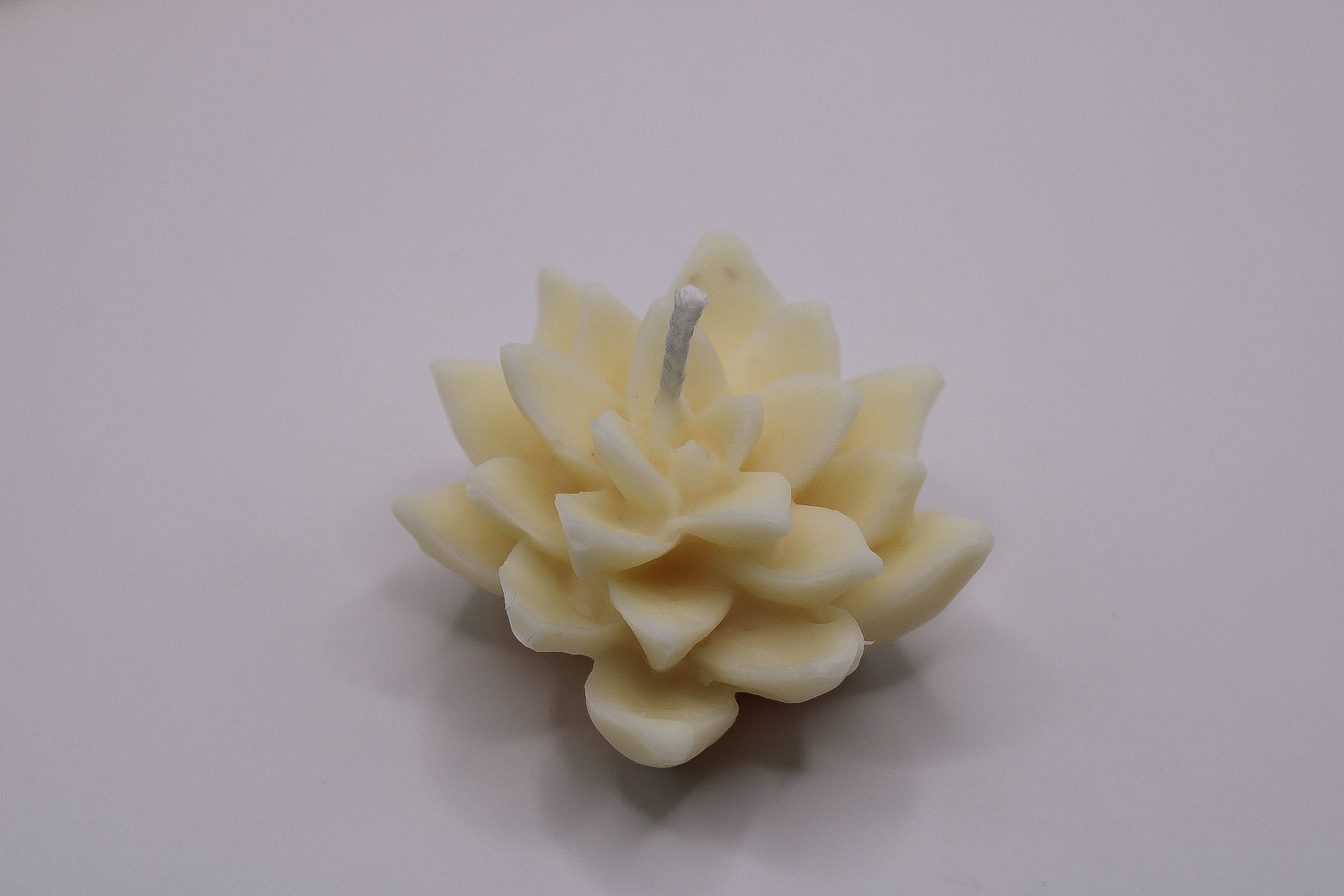 1000011322_759af8a7184c7fc9c61f6bda8ffb7793-07_02_2025_10_59_22 - LumiHer