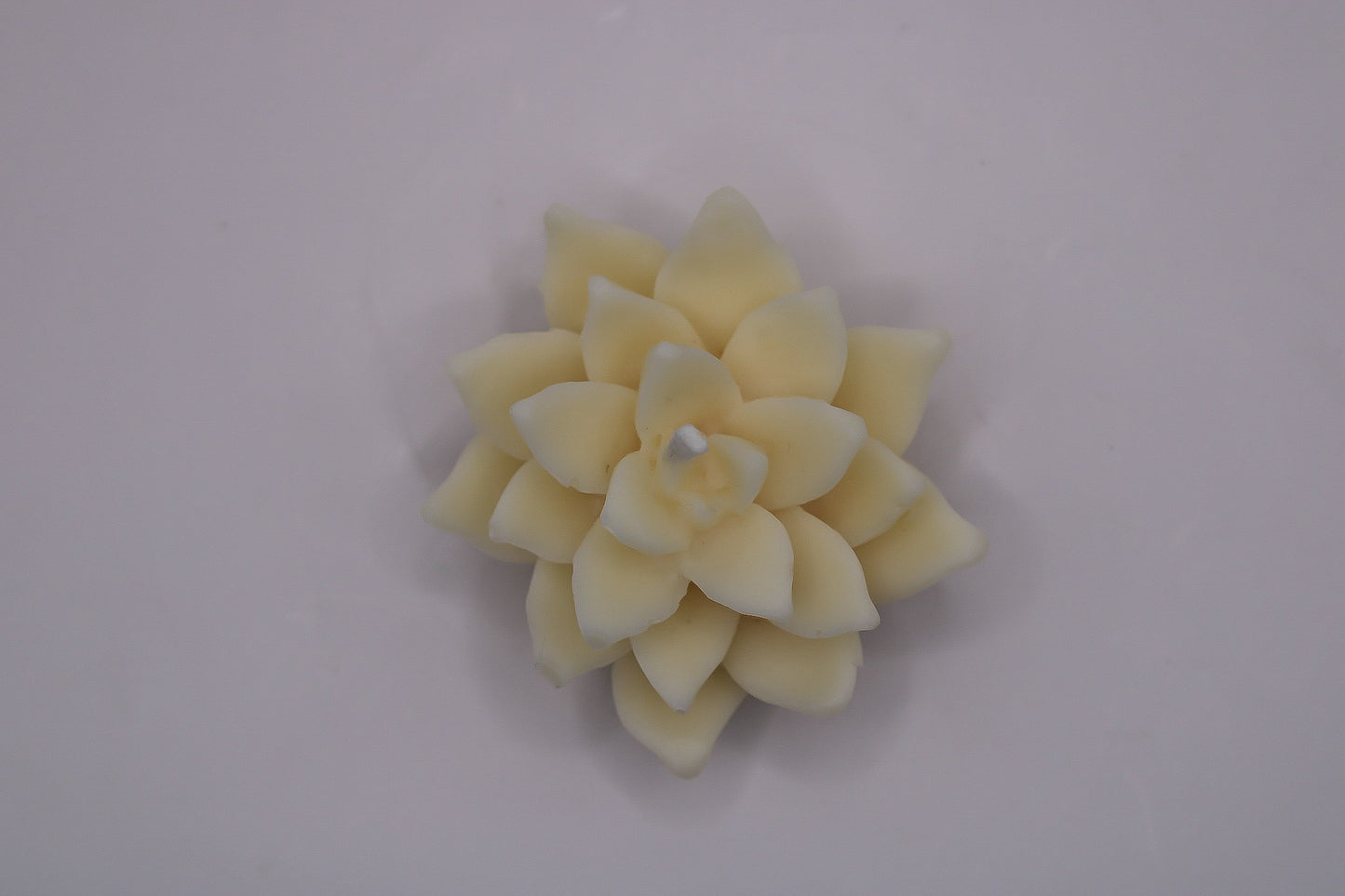 1000011323_0e236444594828dcd237a03d01e12f14-07_02_2025_11_00_58 - LumiHer