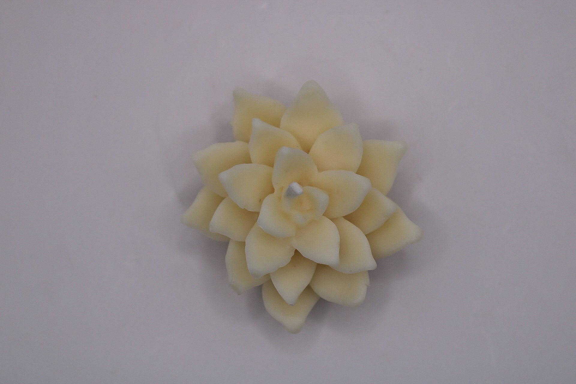 1000011323_0e236444594828dcd237a03d01e12f14-07_02_2025_11_00_58 - LumiHer