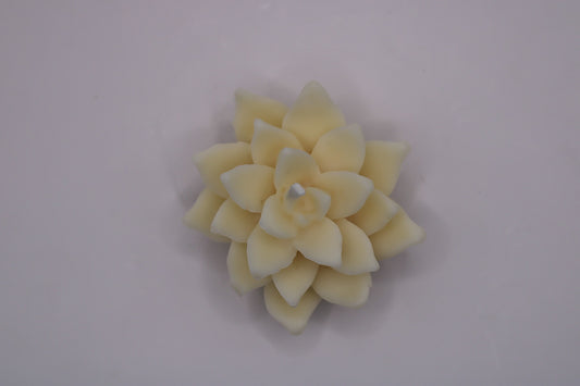 1000011323_0e236444594828dcd237a03d01e12f14-07_02_2025_11_00_58 - LumiHer