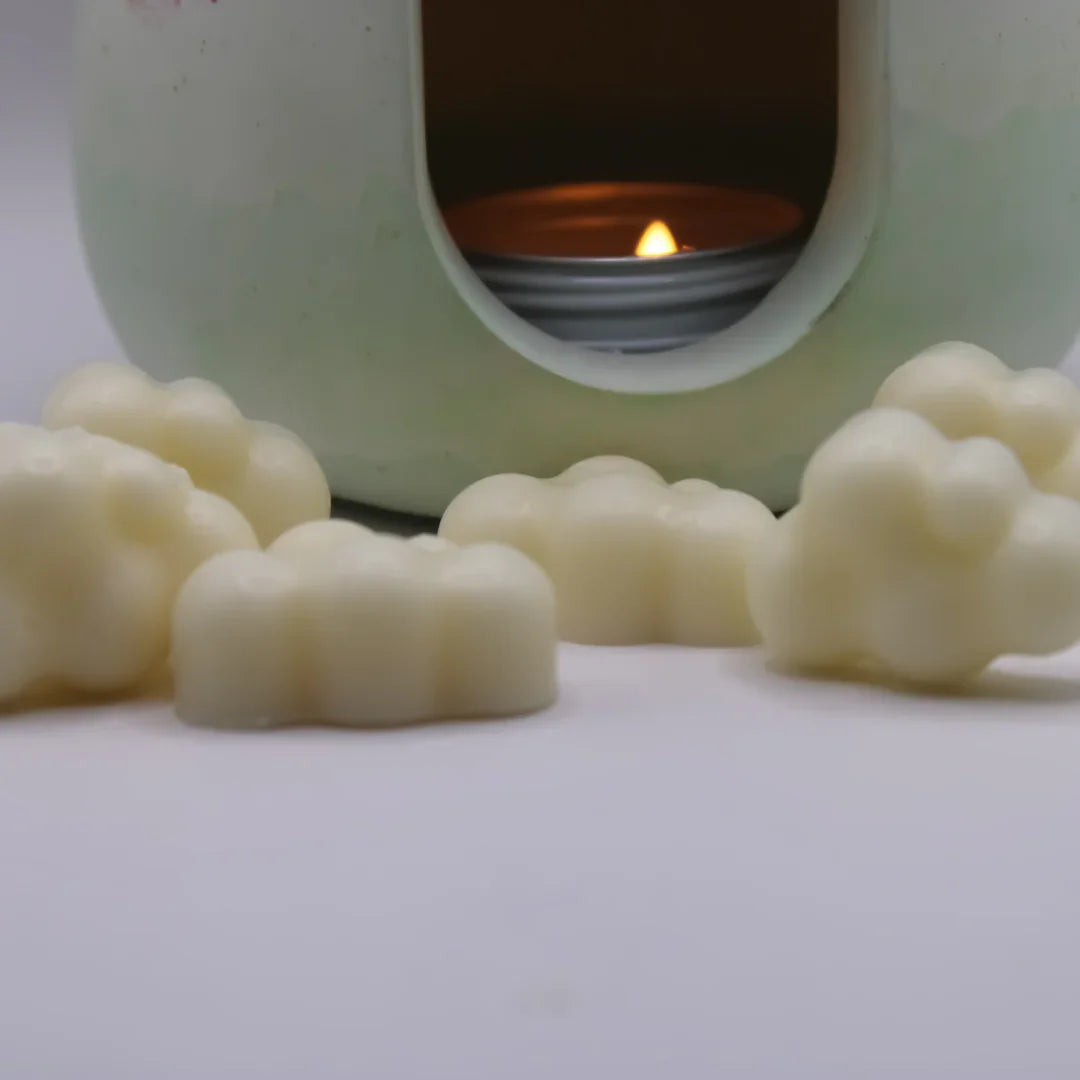 BRUCIA ESSENZE - LumiHer